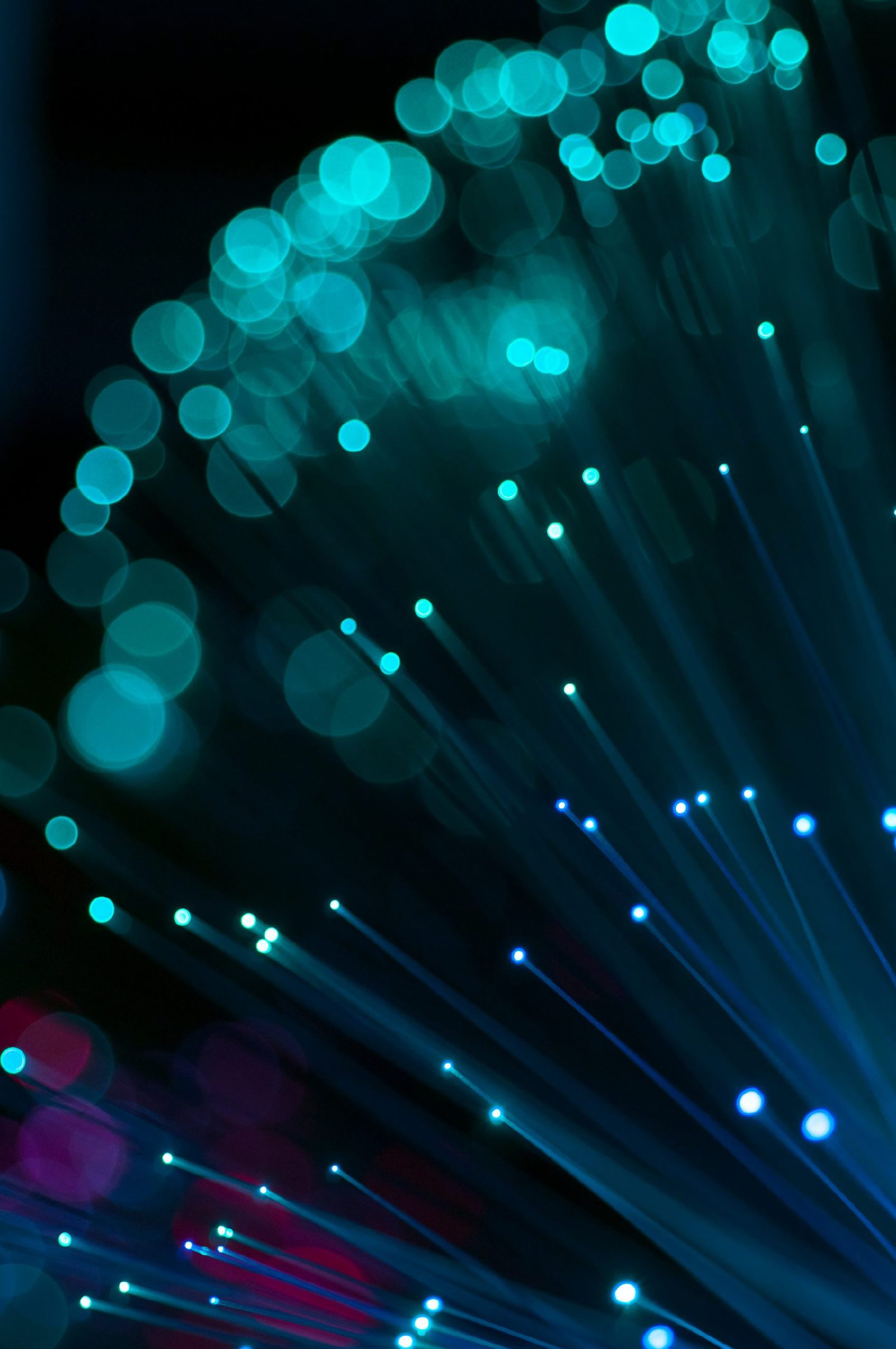 Glowing blue fiber-optic strands fanning out against a dark background